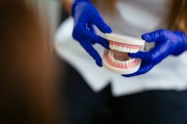 Best Preventive Dentistry  in Carlisle, PA
